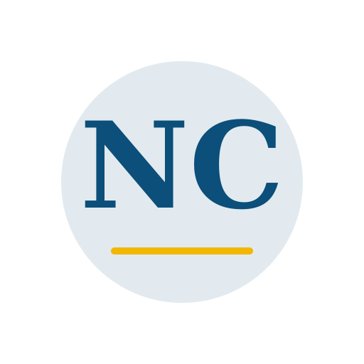 Novak Chimney Repair logo